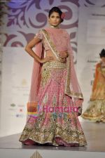 Model walks the ramp for Arjun Anjalee Kapoor for Aamby Valley India Bridal Week on 30th Oct 2010 (86).JPG